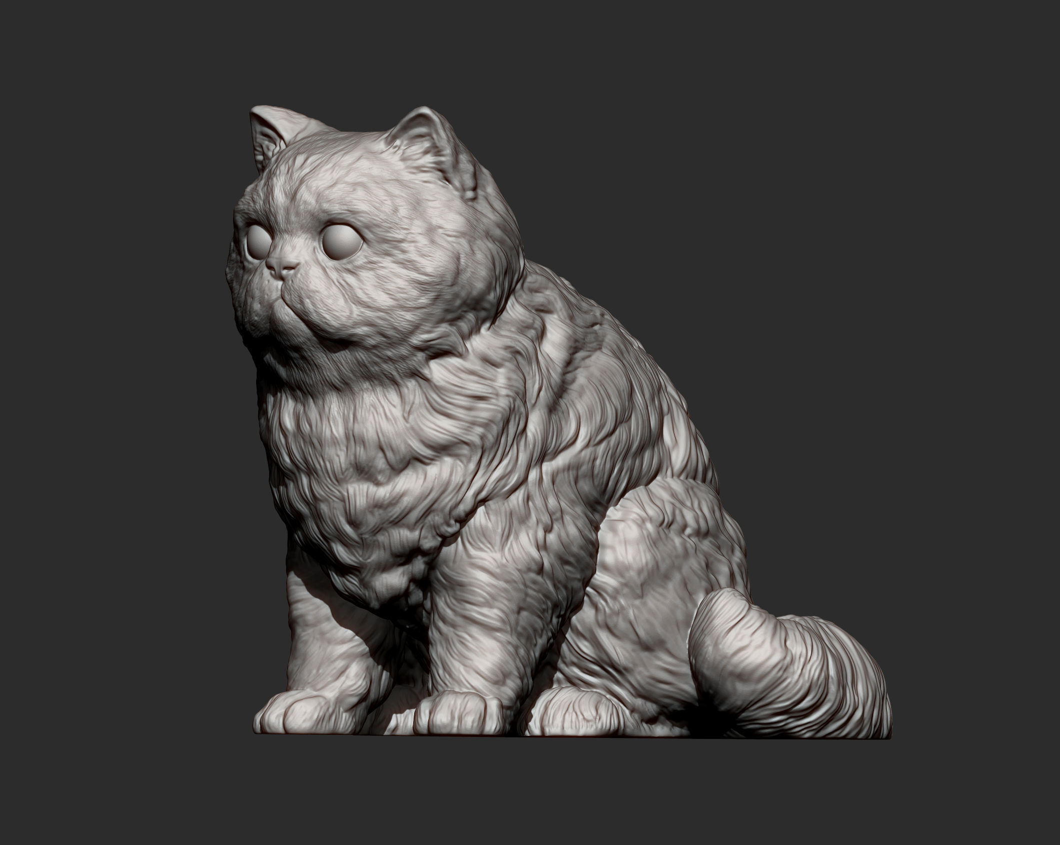 Persian cat sitting 3D print model_10