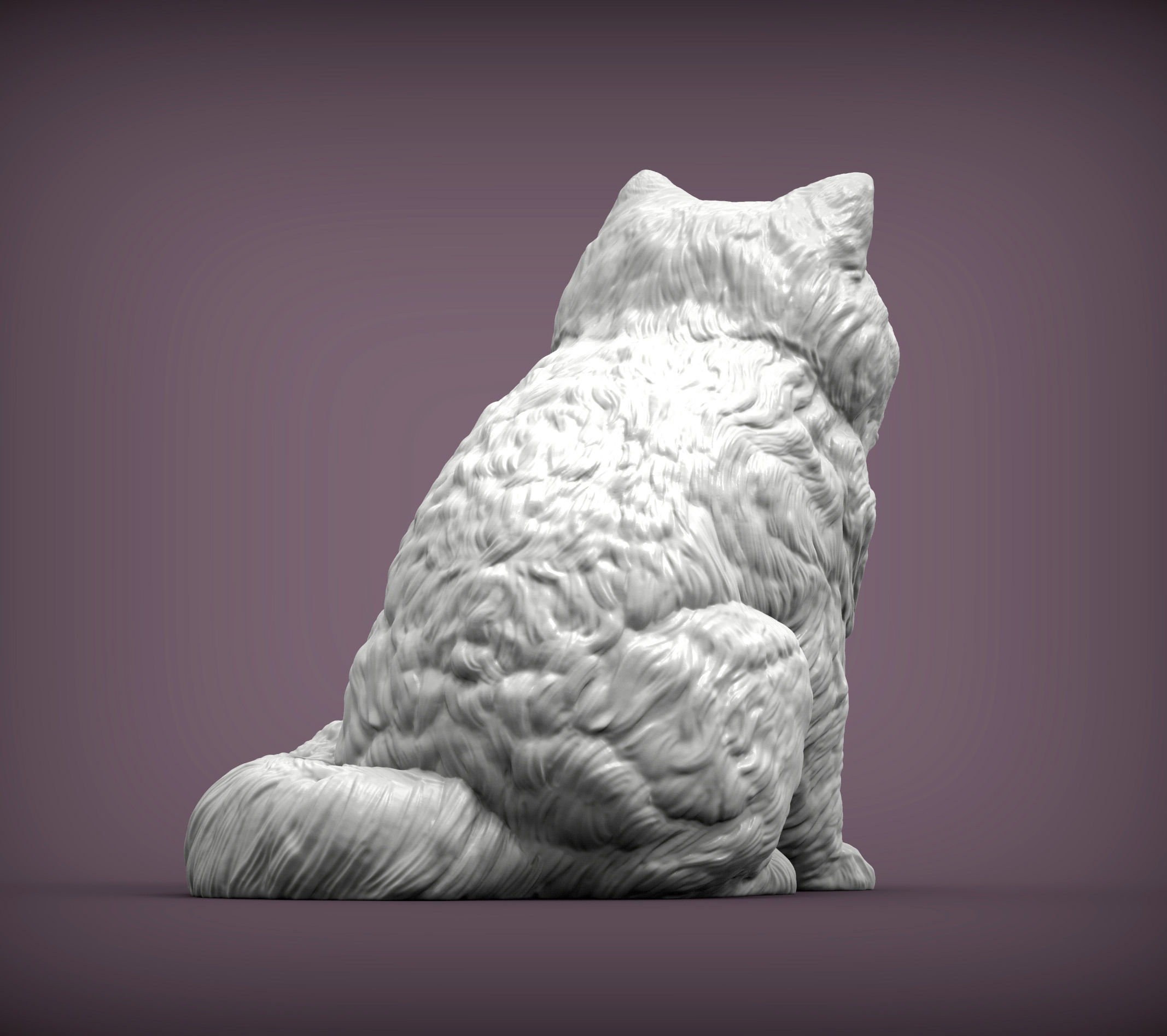 Persian cat sitting 3D print model_8