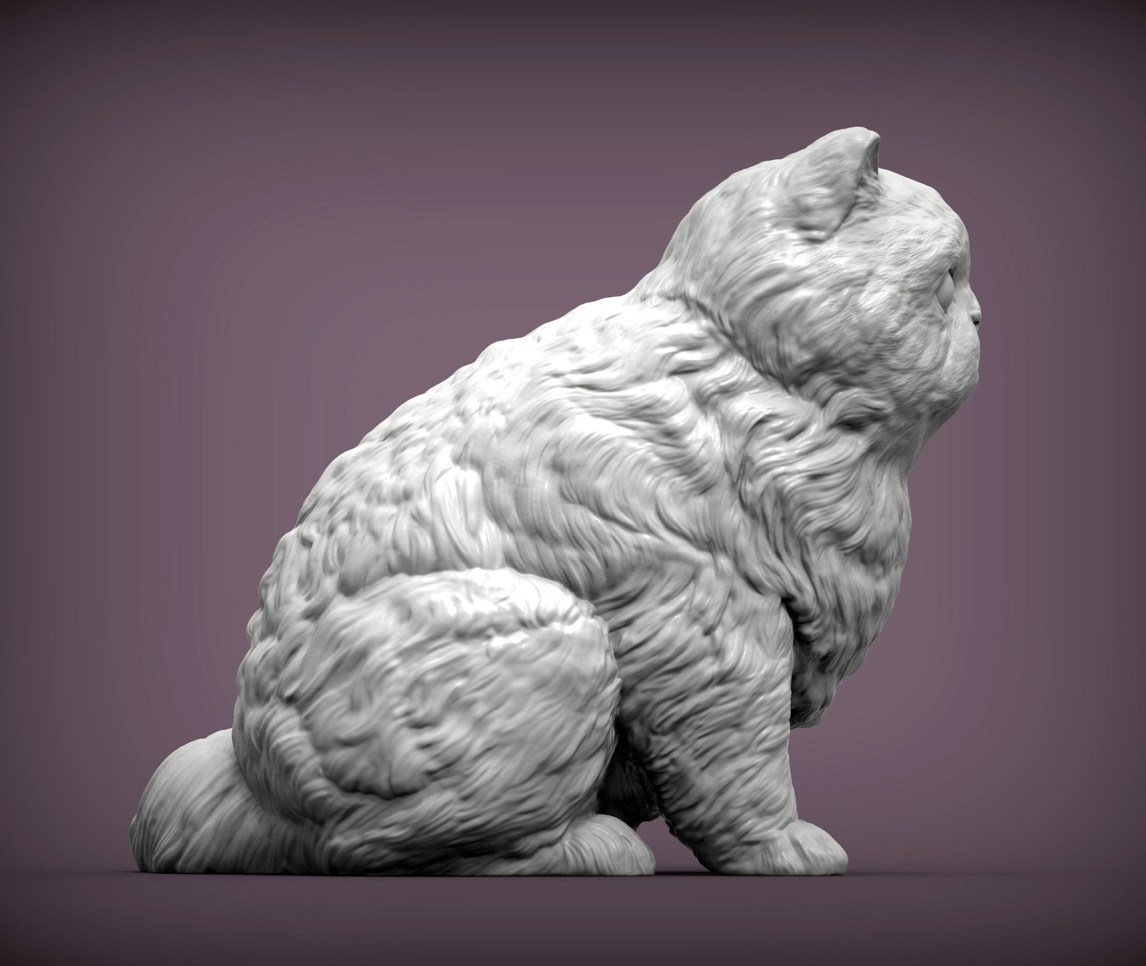 Persian cat sitting 3D print model_7