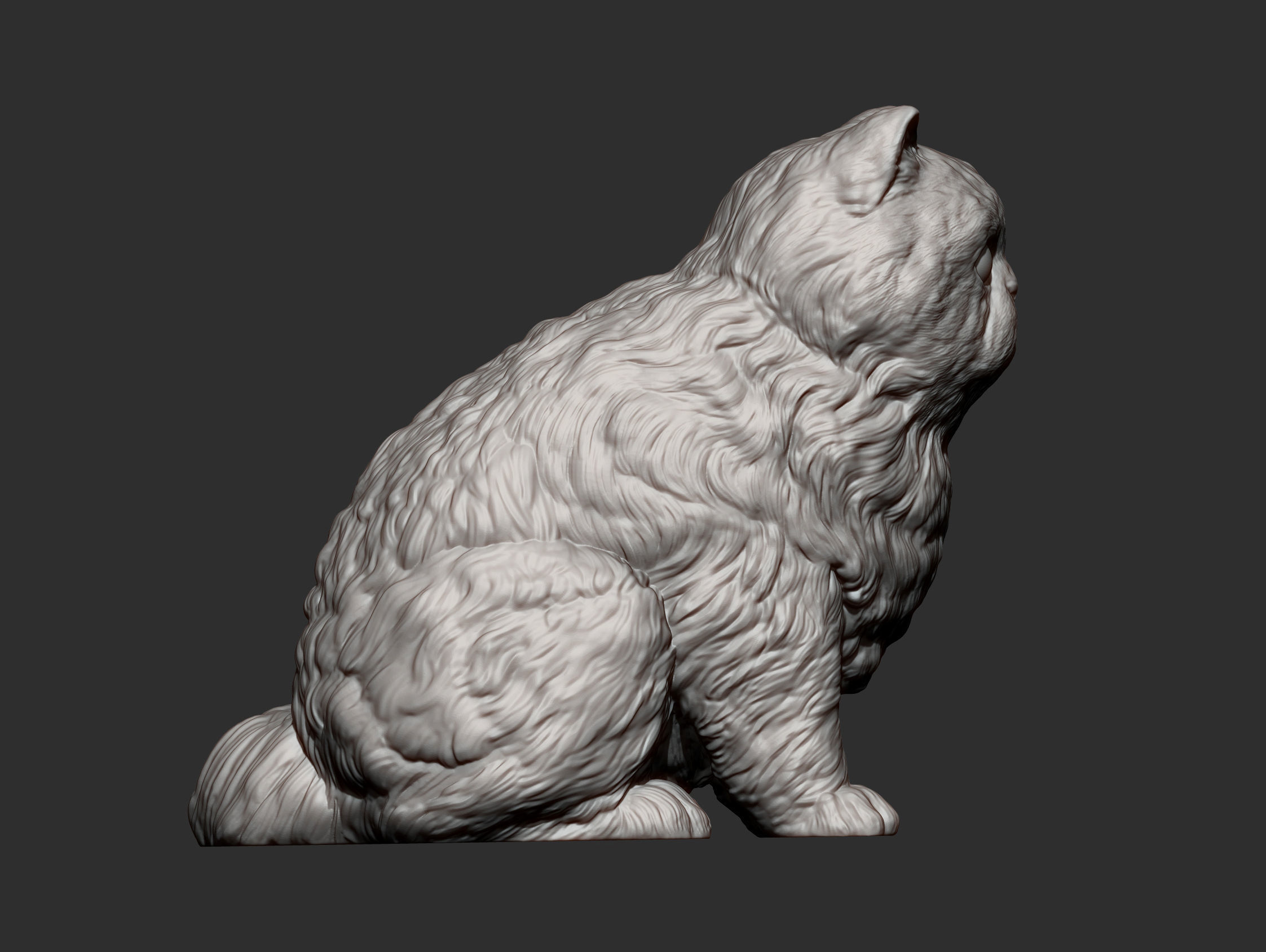 Persian cat sitting 3D print model_14