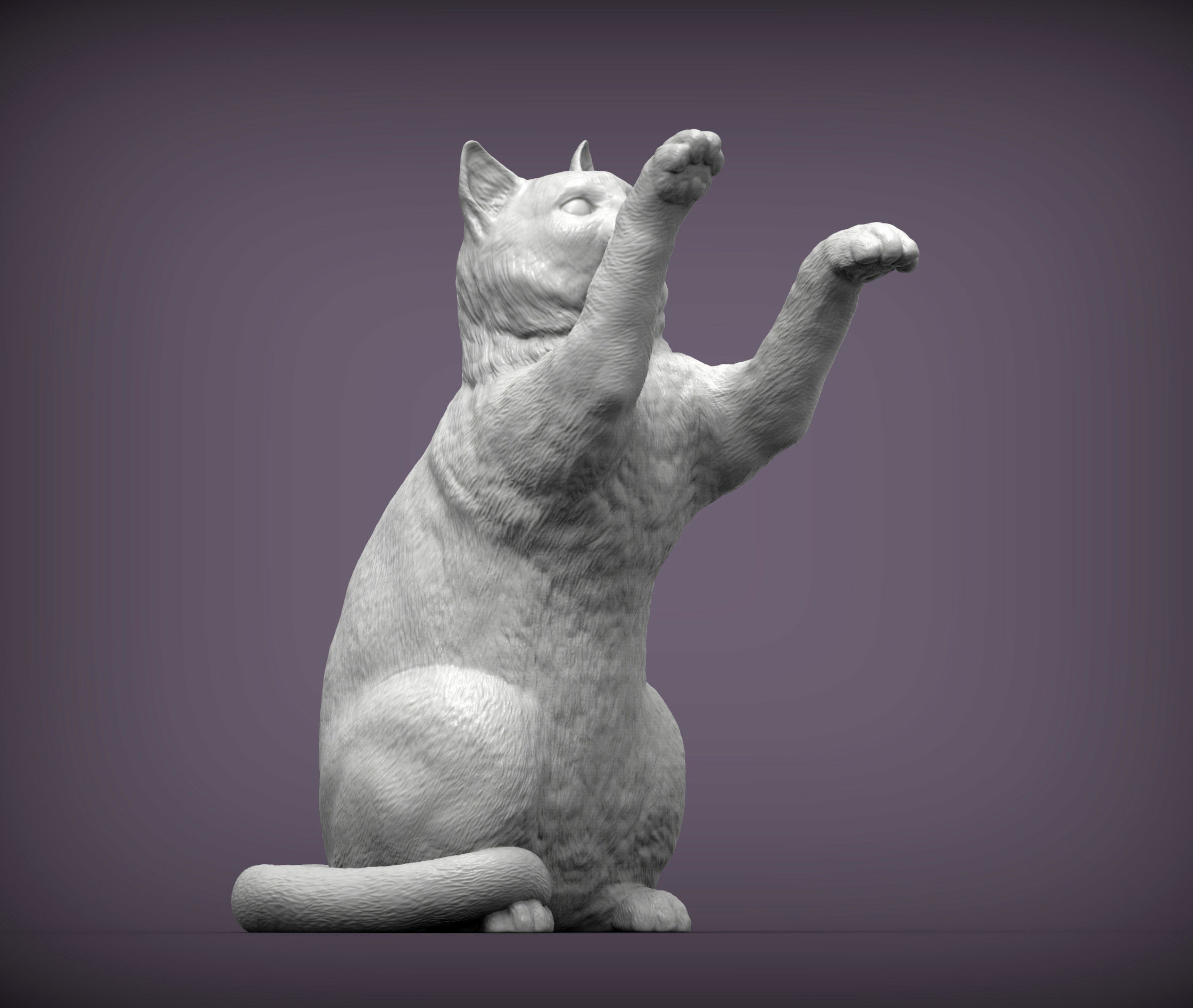 the cat sits on its hind legs 3D print model_7