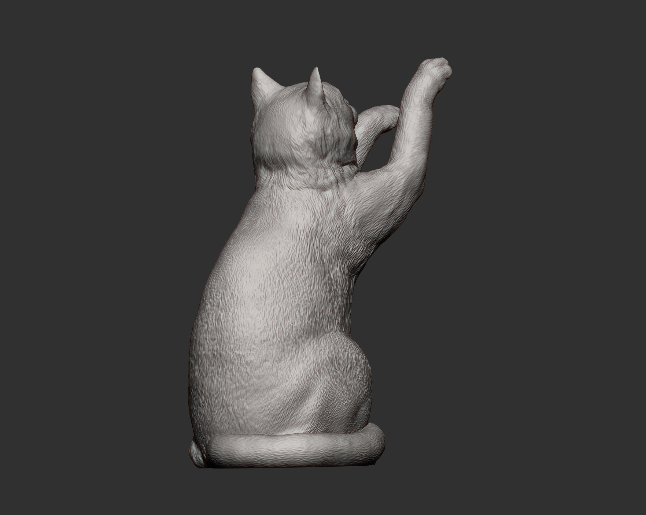 the cat sits on its hind legs 3D print model_13
