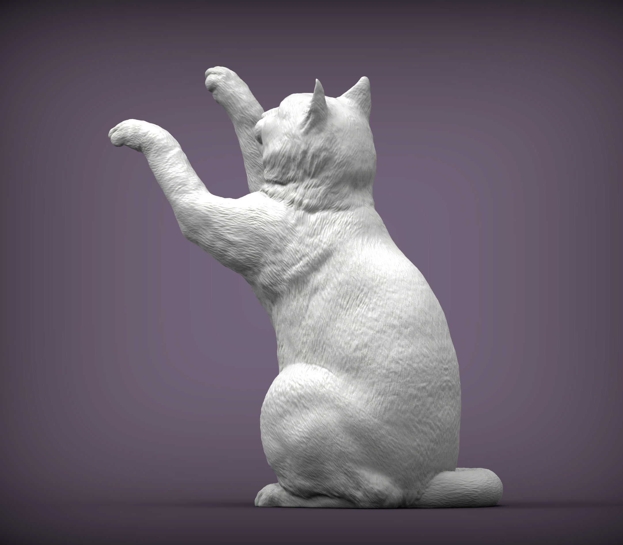 the cat sits on its hind legs 3D print model_2