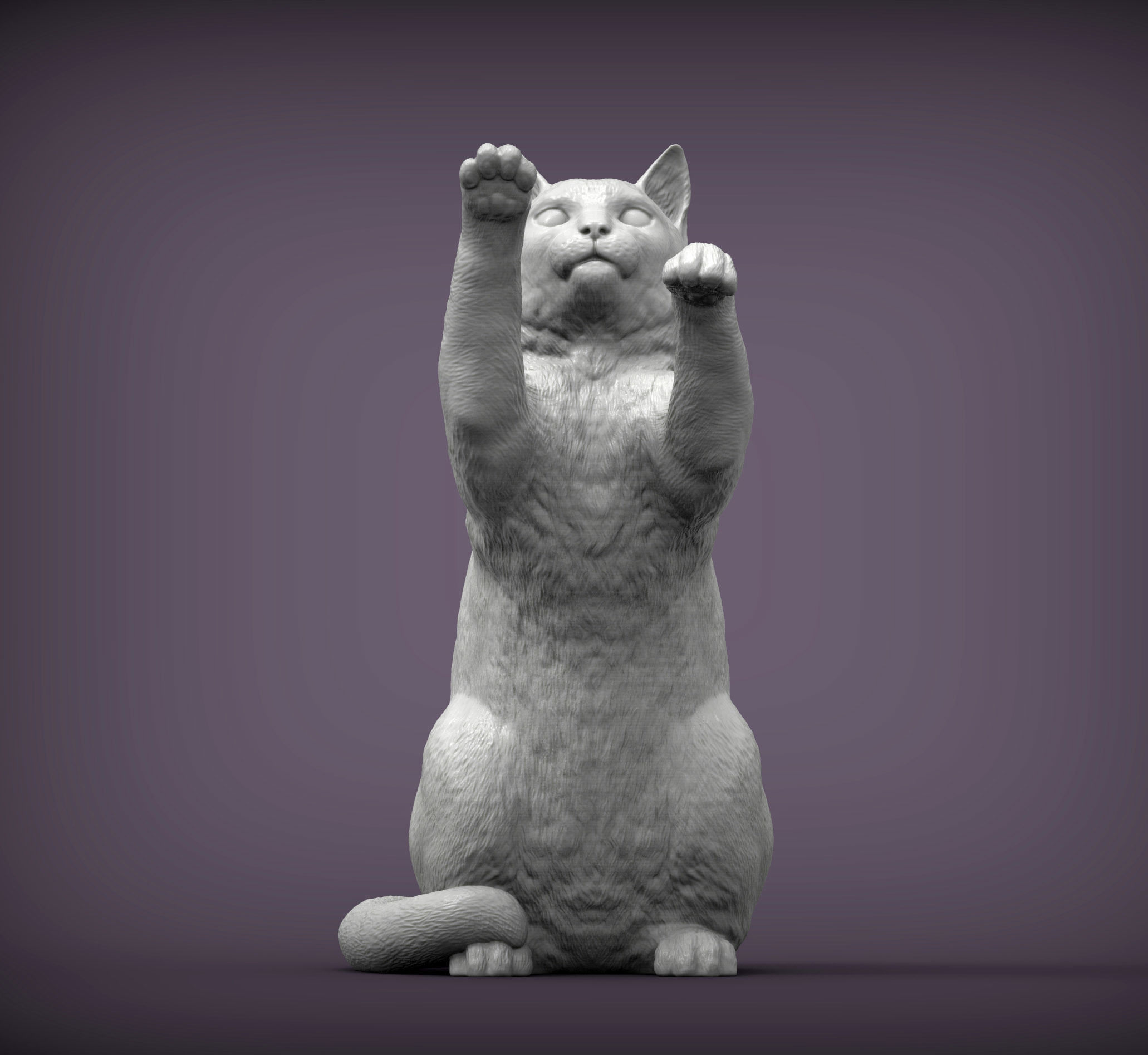 the cat sits on its hind legs 3D print model_6