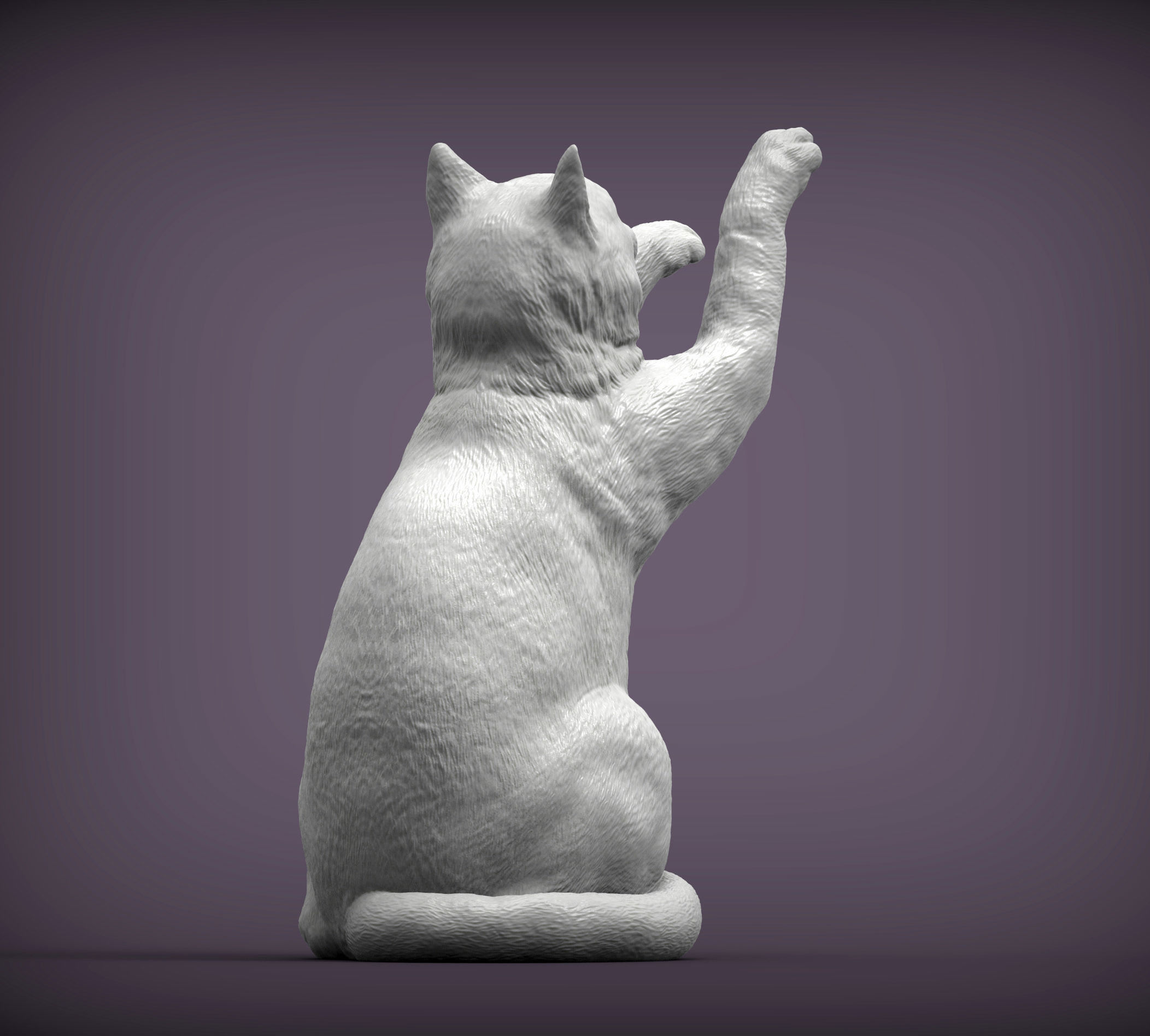 the cat sits on its hind legs 3D print model_1