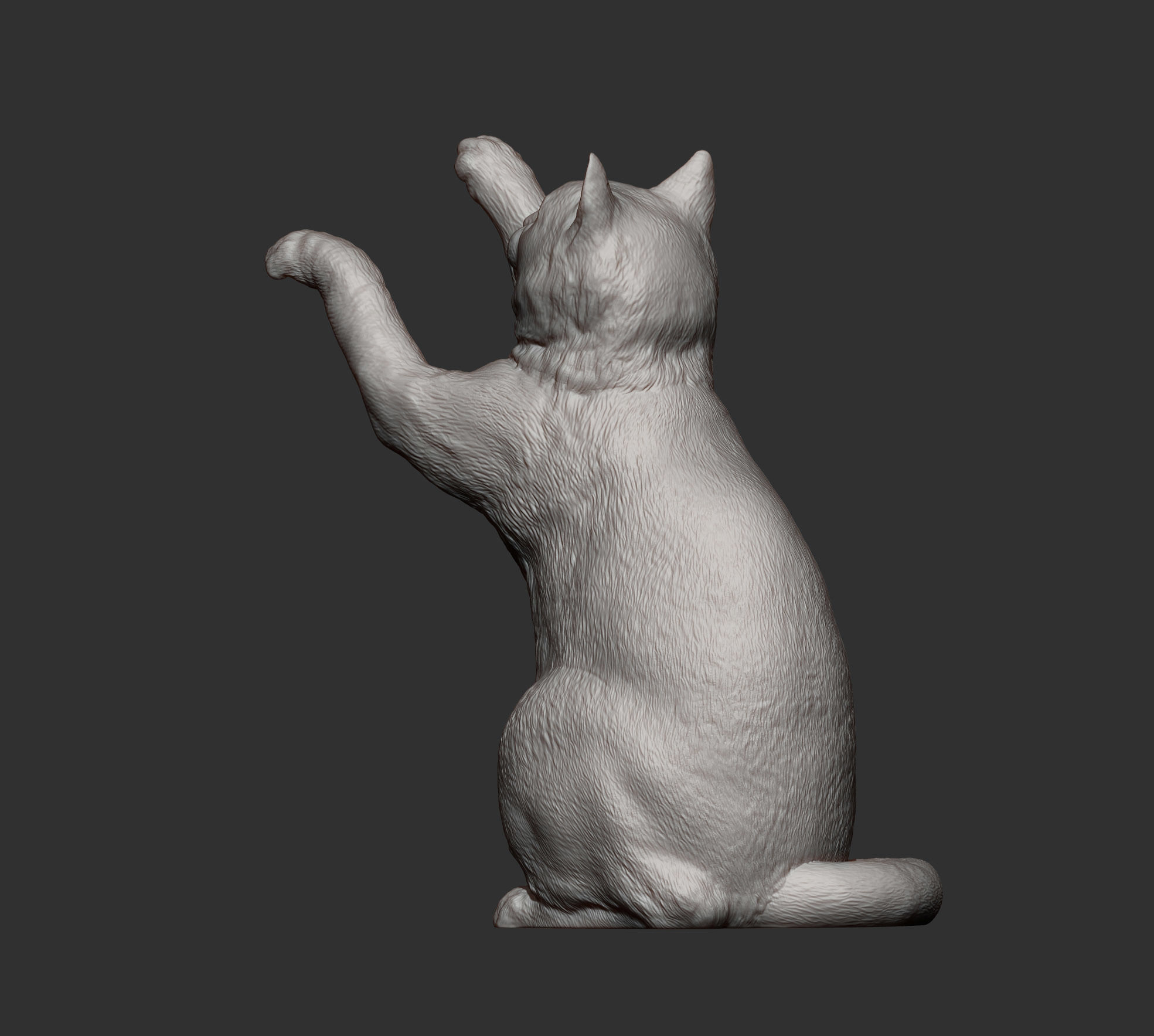 the cat sits on its hind legs 3D print model_5