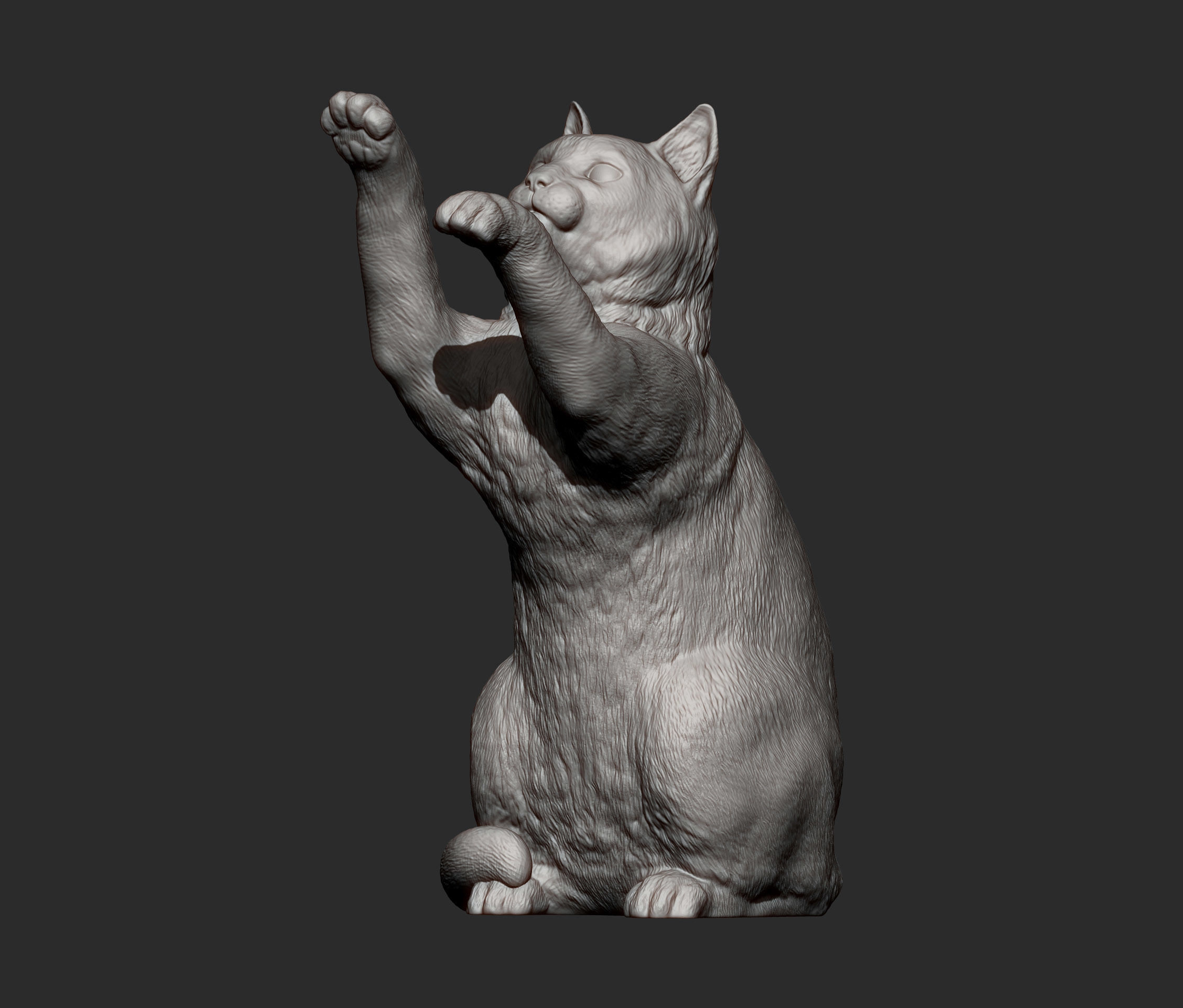 the cat sits on its hind legs 3D print model_9