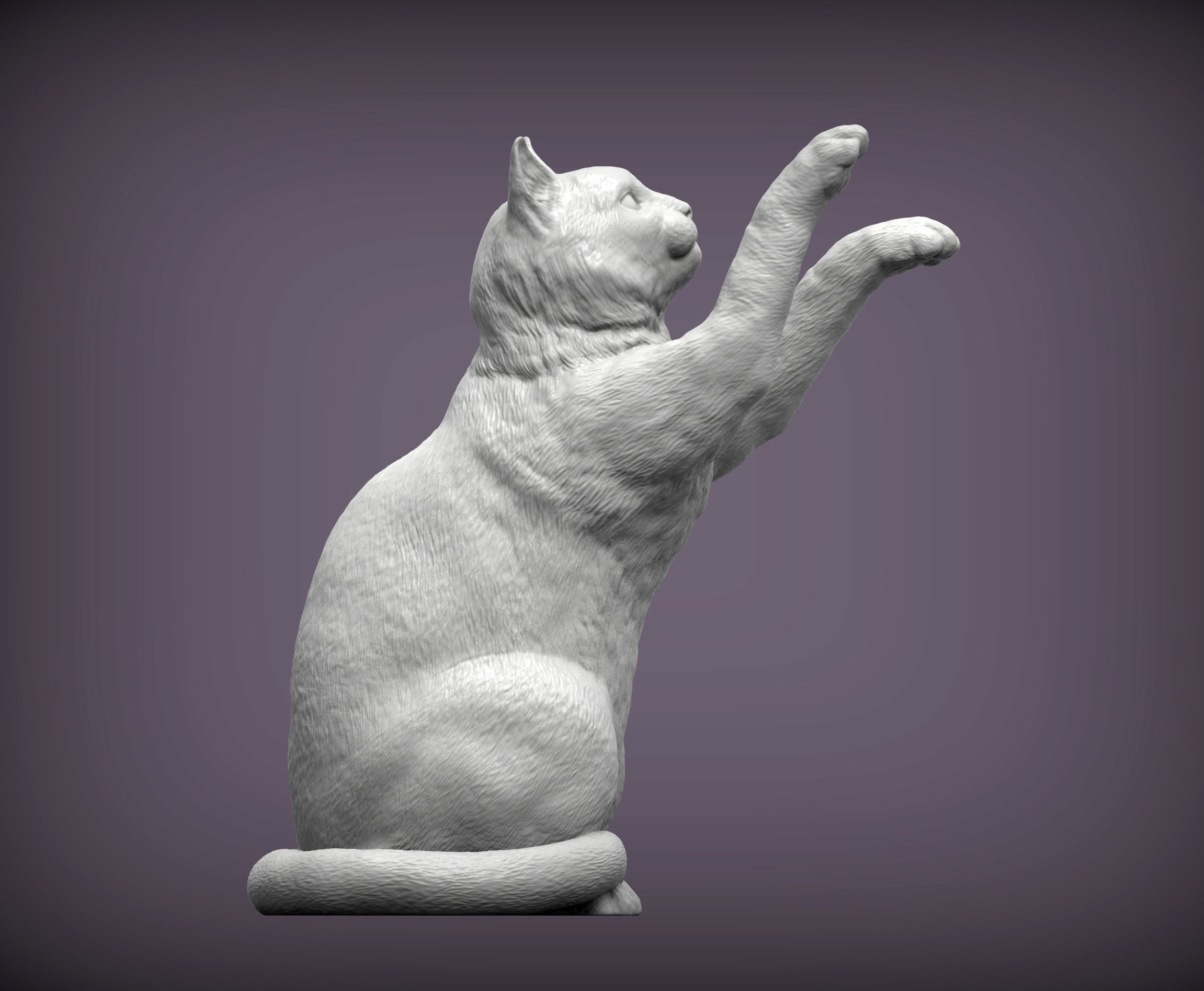 the cat sits on its hind legs 3D print model_3