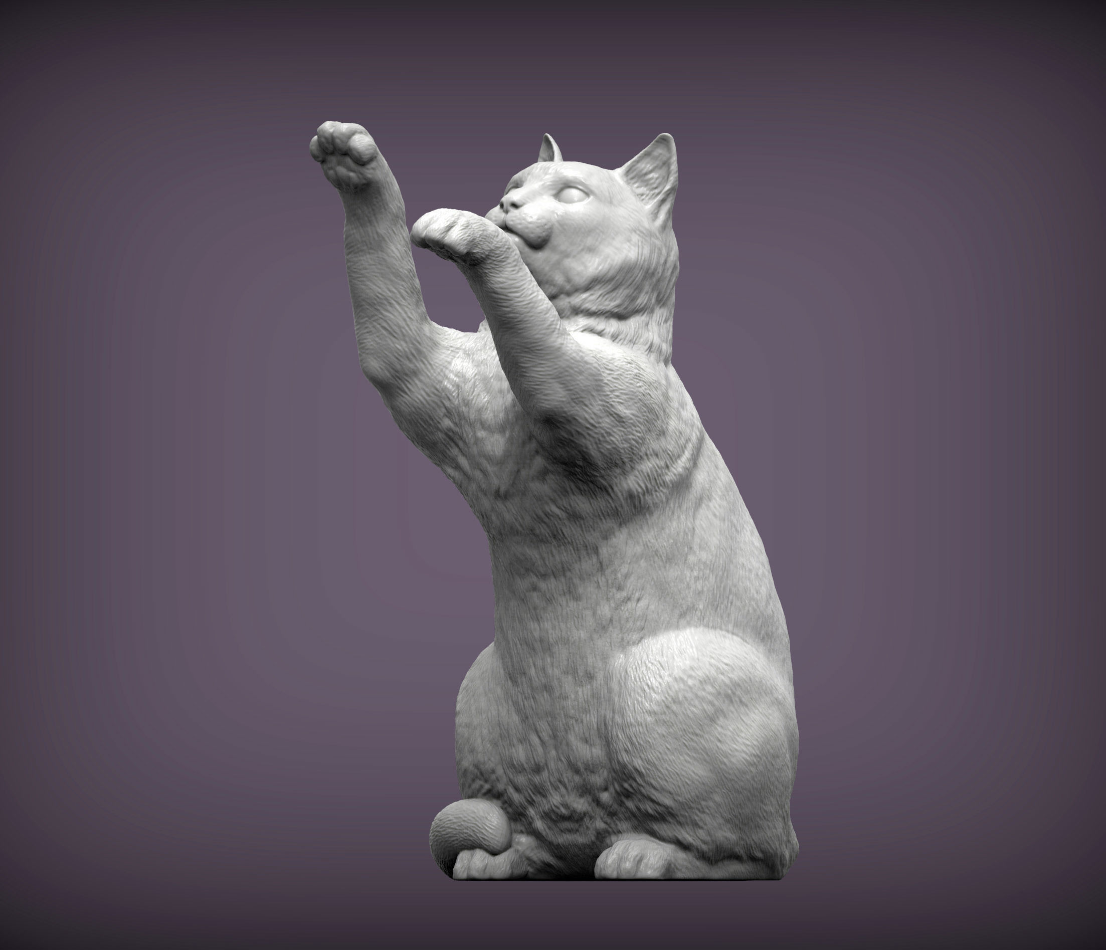 the cat sits on its hind legs 3D print model_4