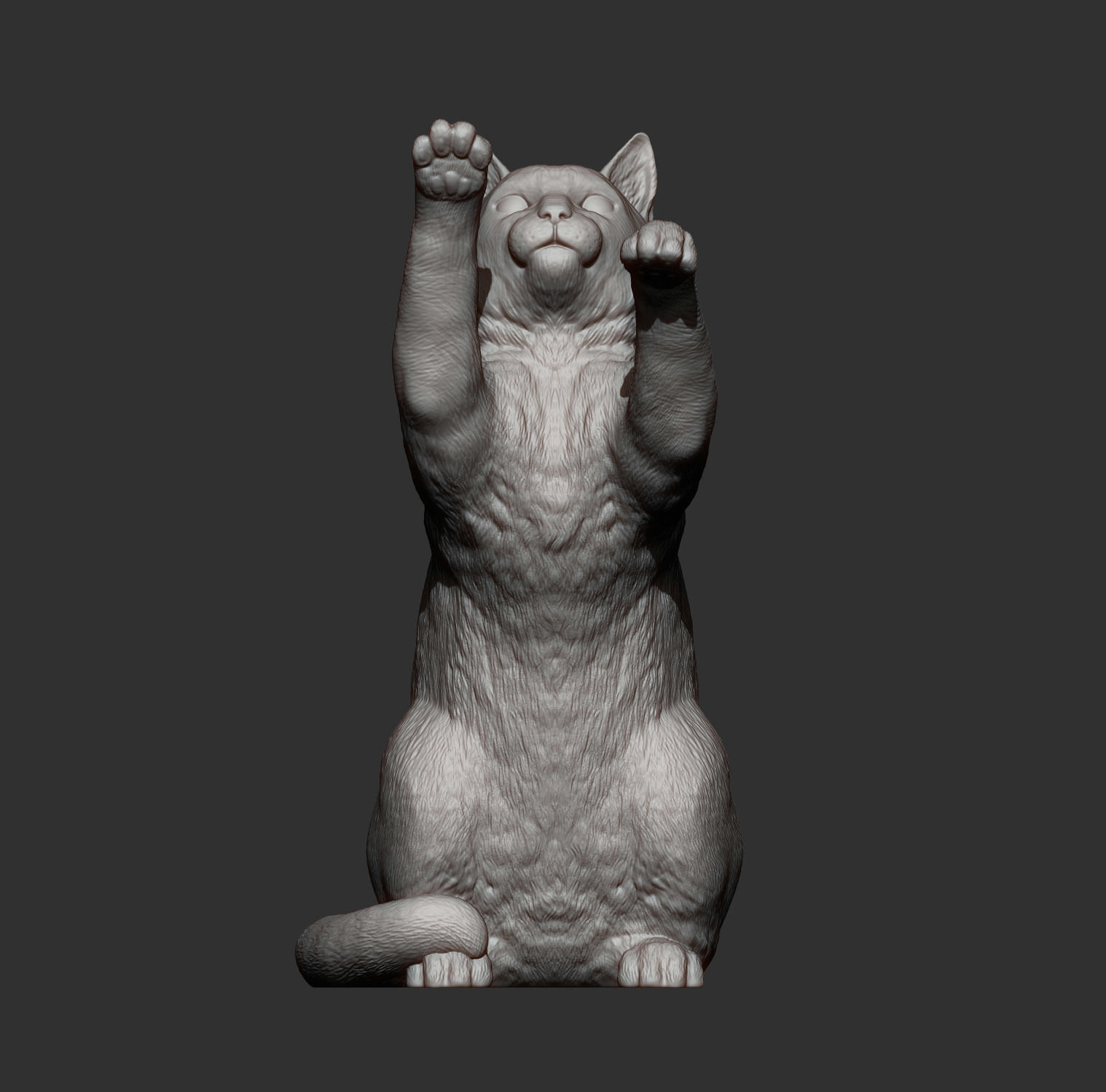 the cat sits on its hind legs 3D print model_11