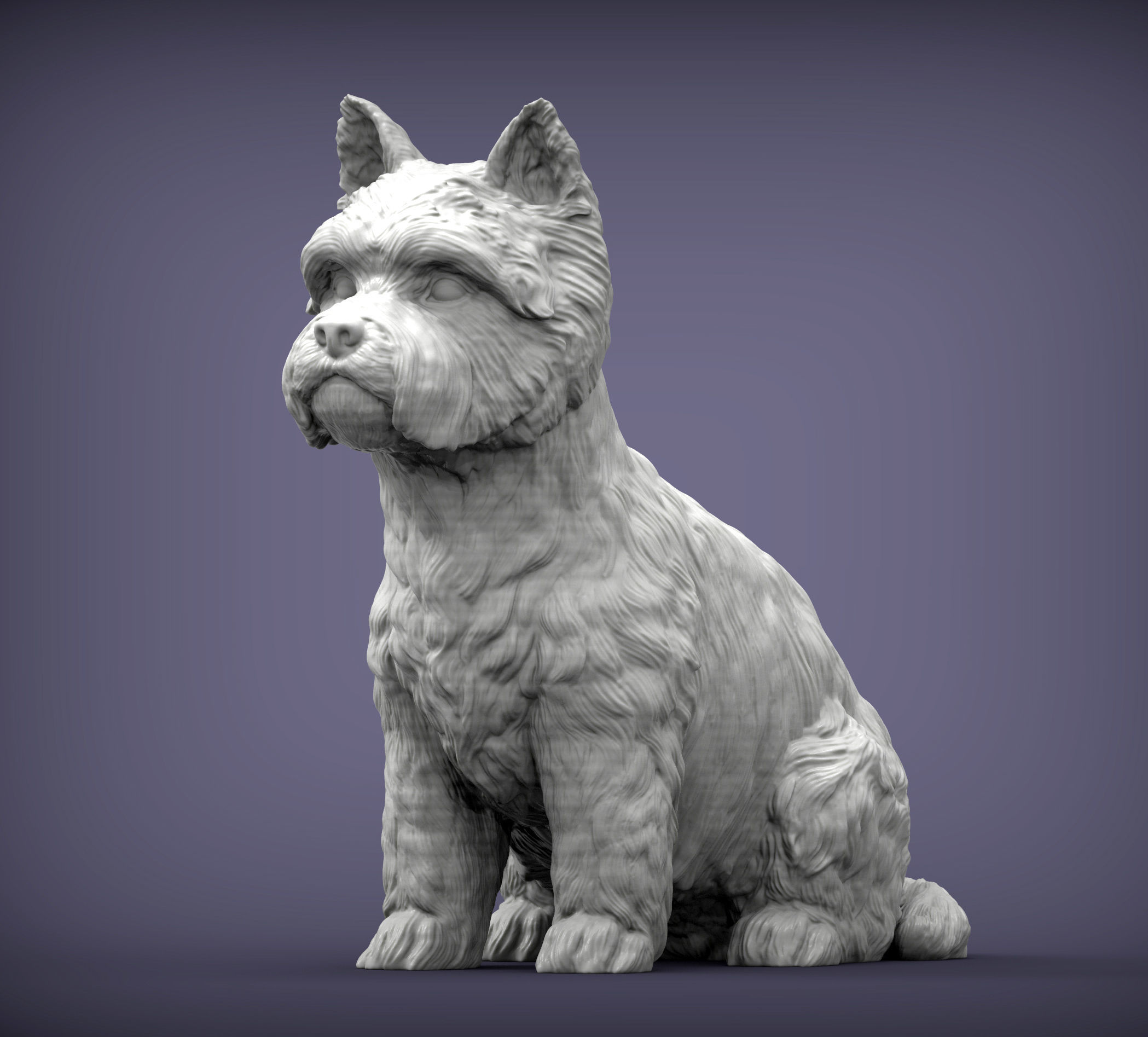 West highland white terrier 3D print model_4