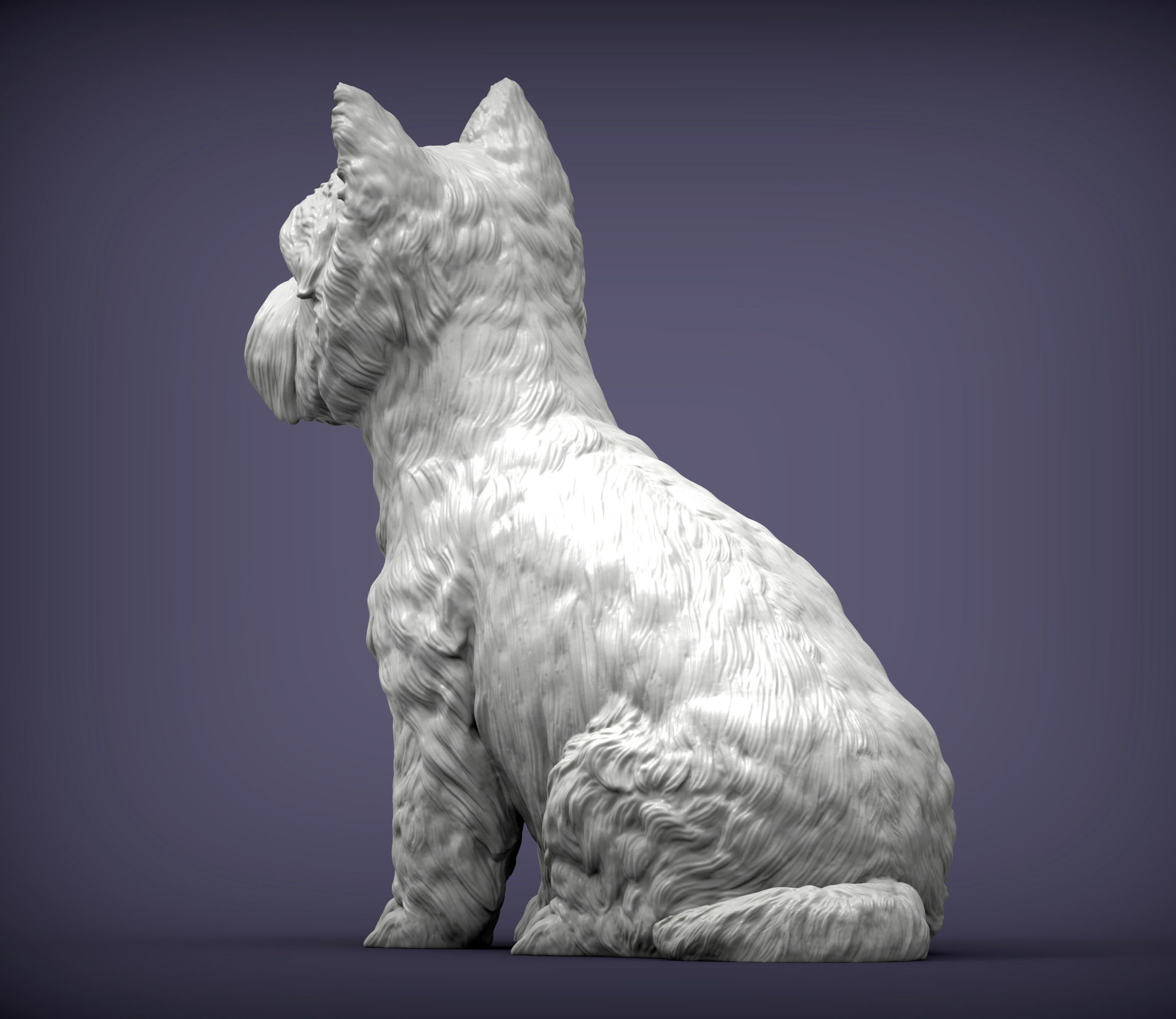 West highland white terrier 3D print model_5