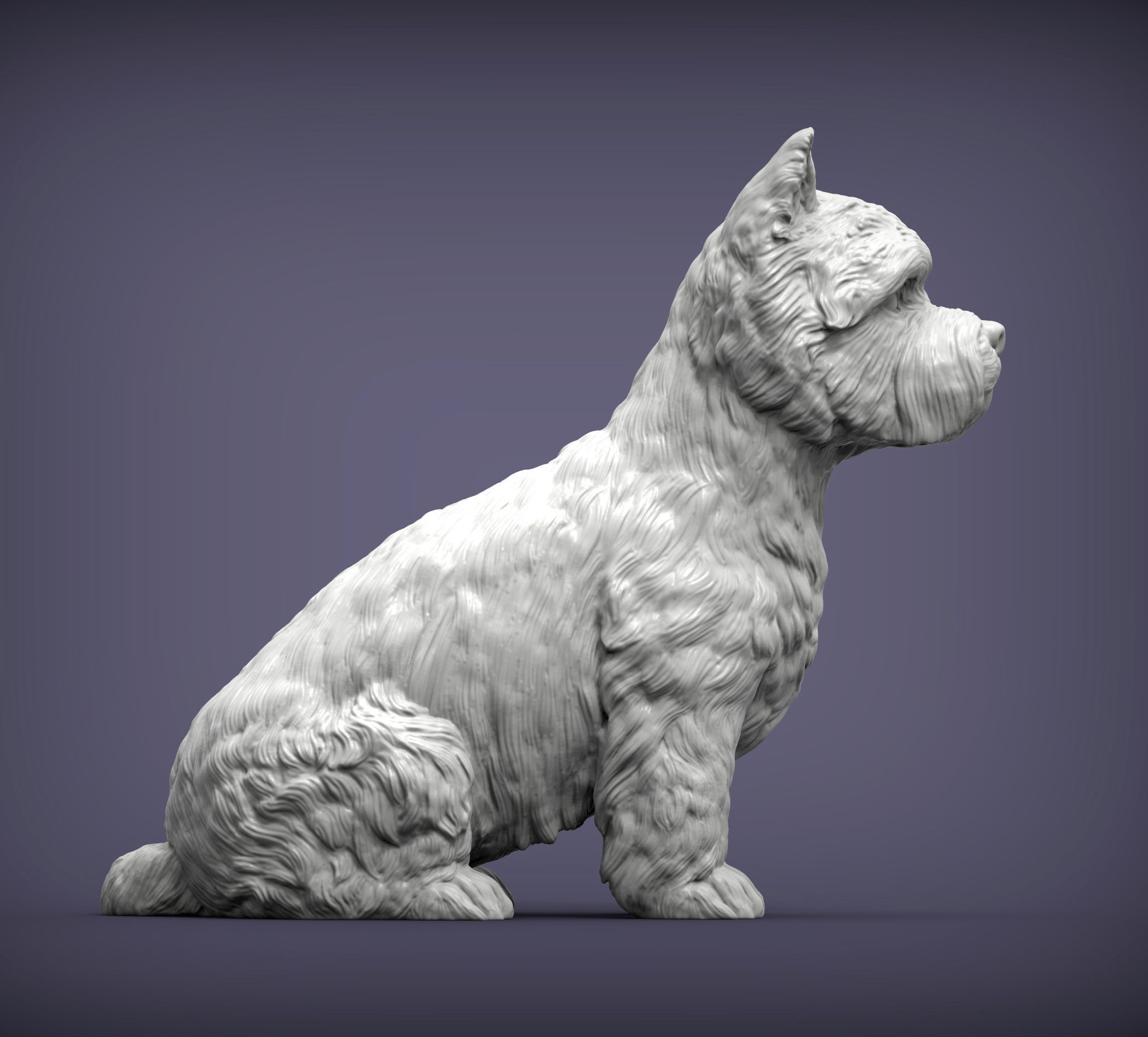 West highland white terrier 3D print model_1