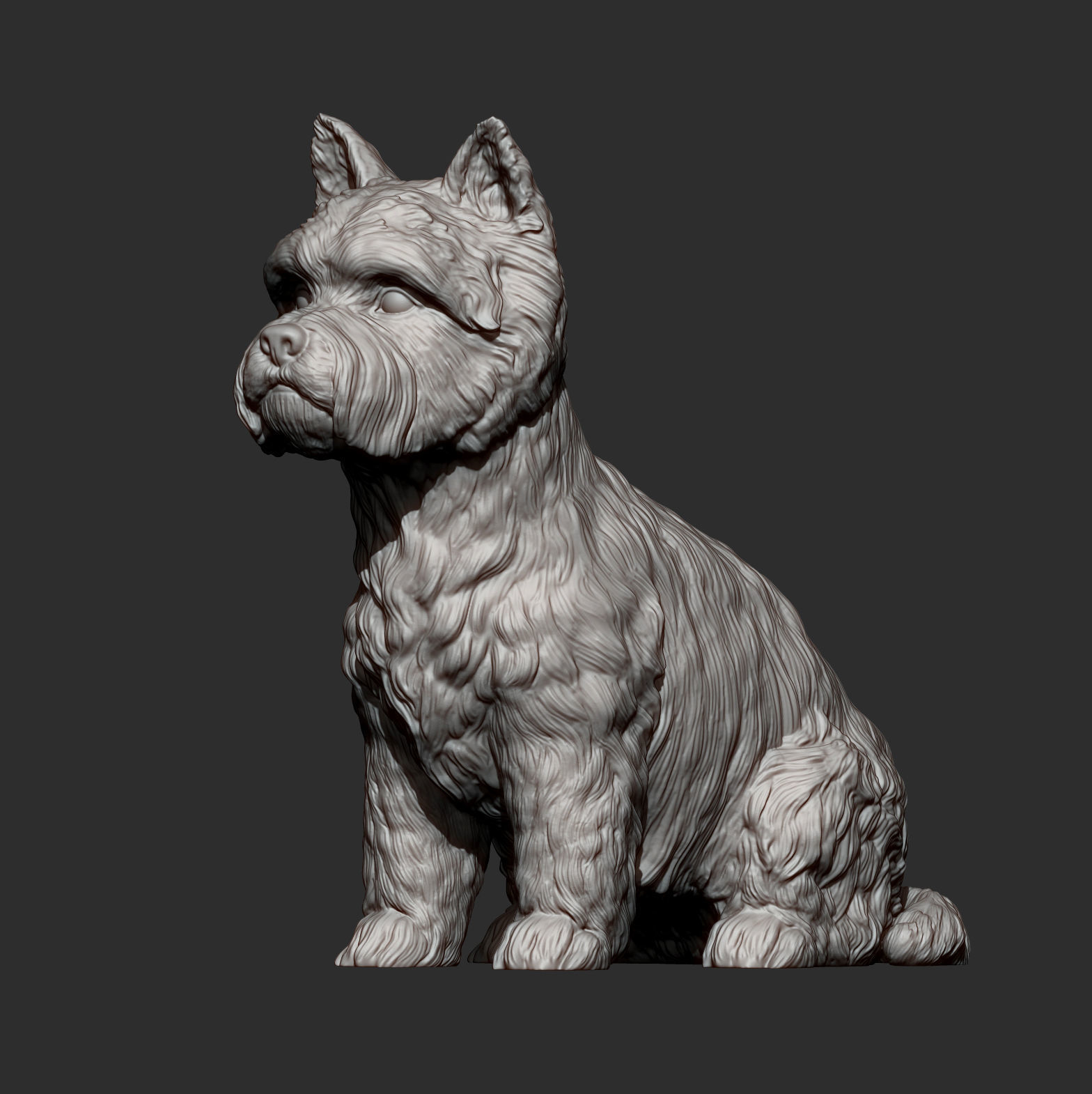 West highland white terrier 3D print model_13