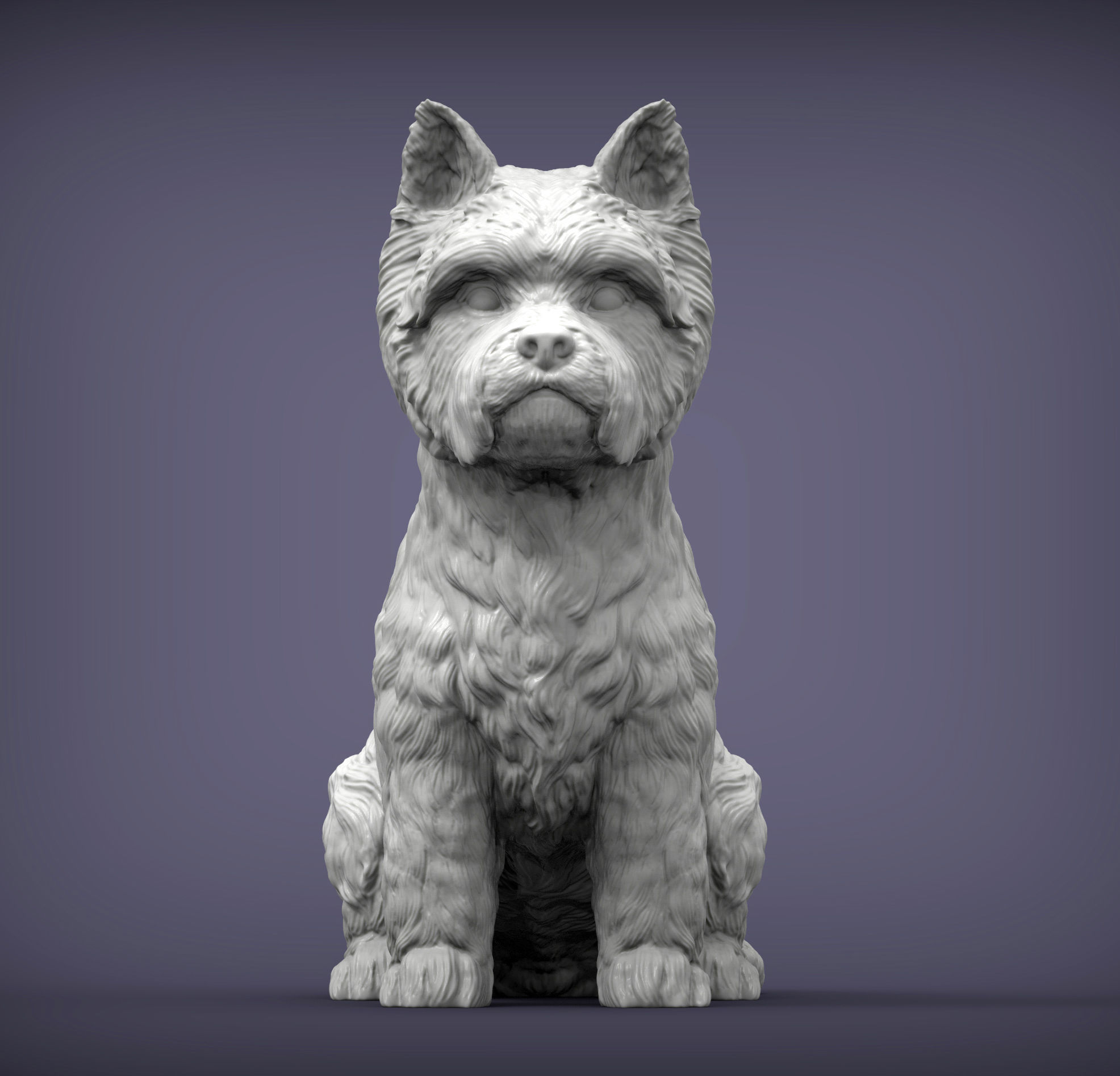 West highland white terrier 3D print model_3