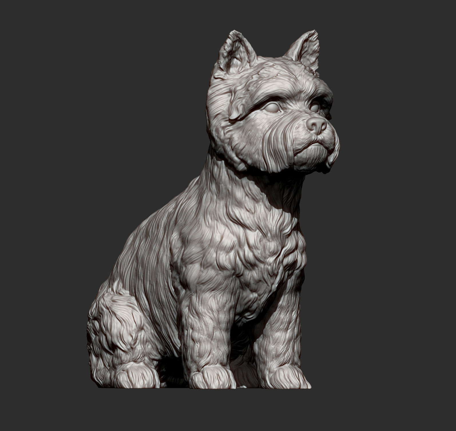 West highland white terrier 3D print model_12