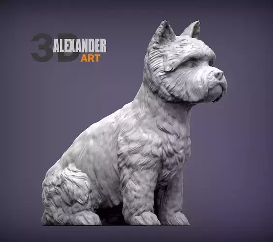 West highland white terrier