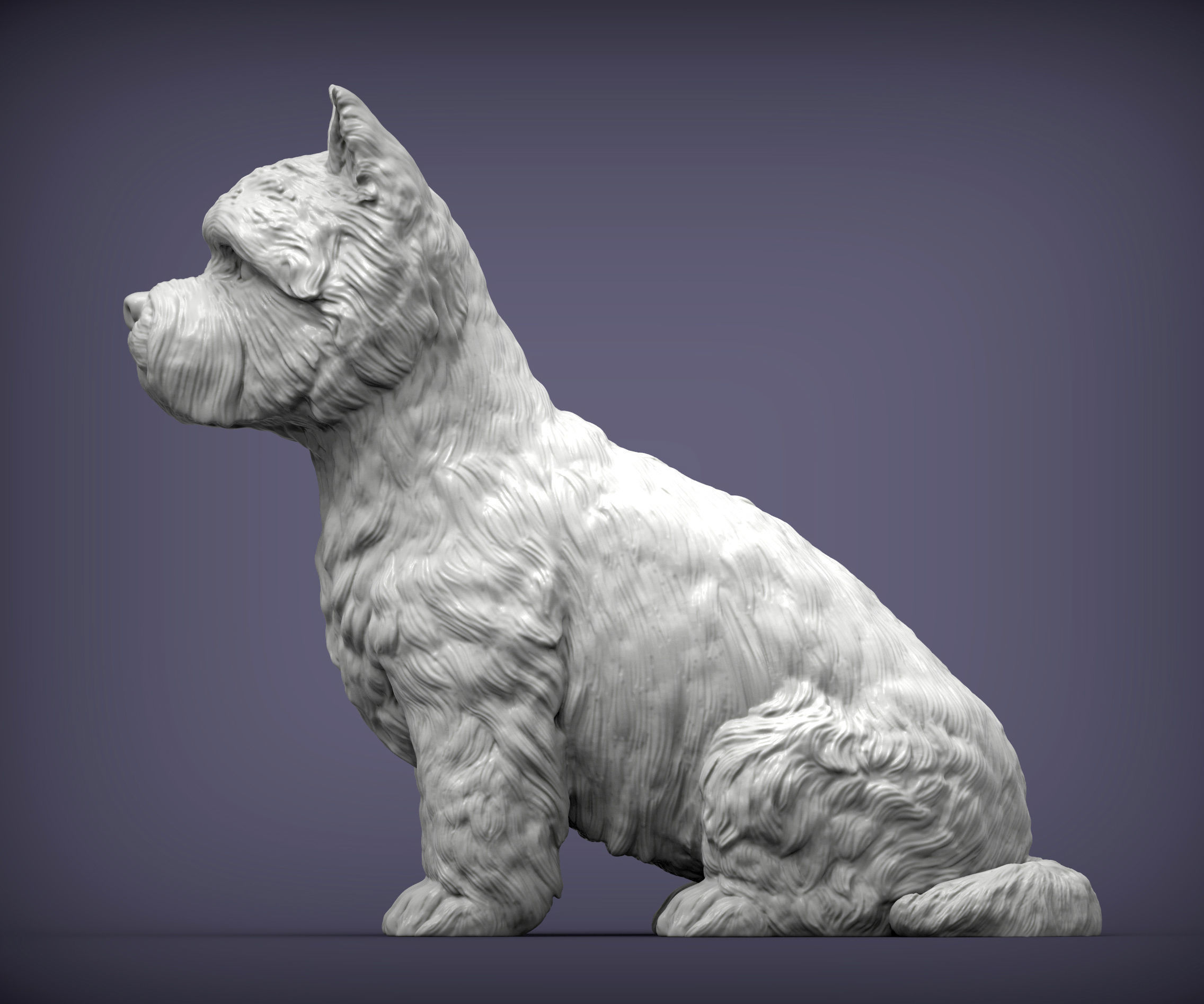 West highland white terrier 3D print model_2