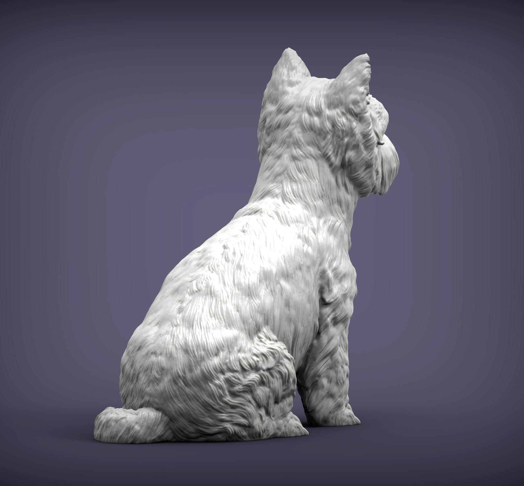 West highland white terrier 3D print model_6