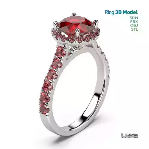 Halo Diamond Ring With Side Stones - 23 sizes