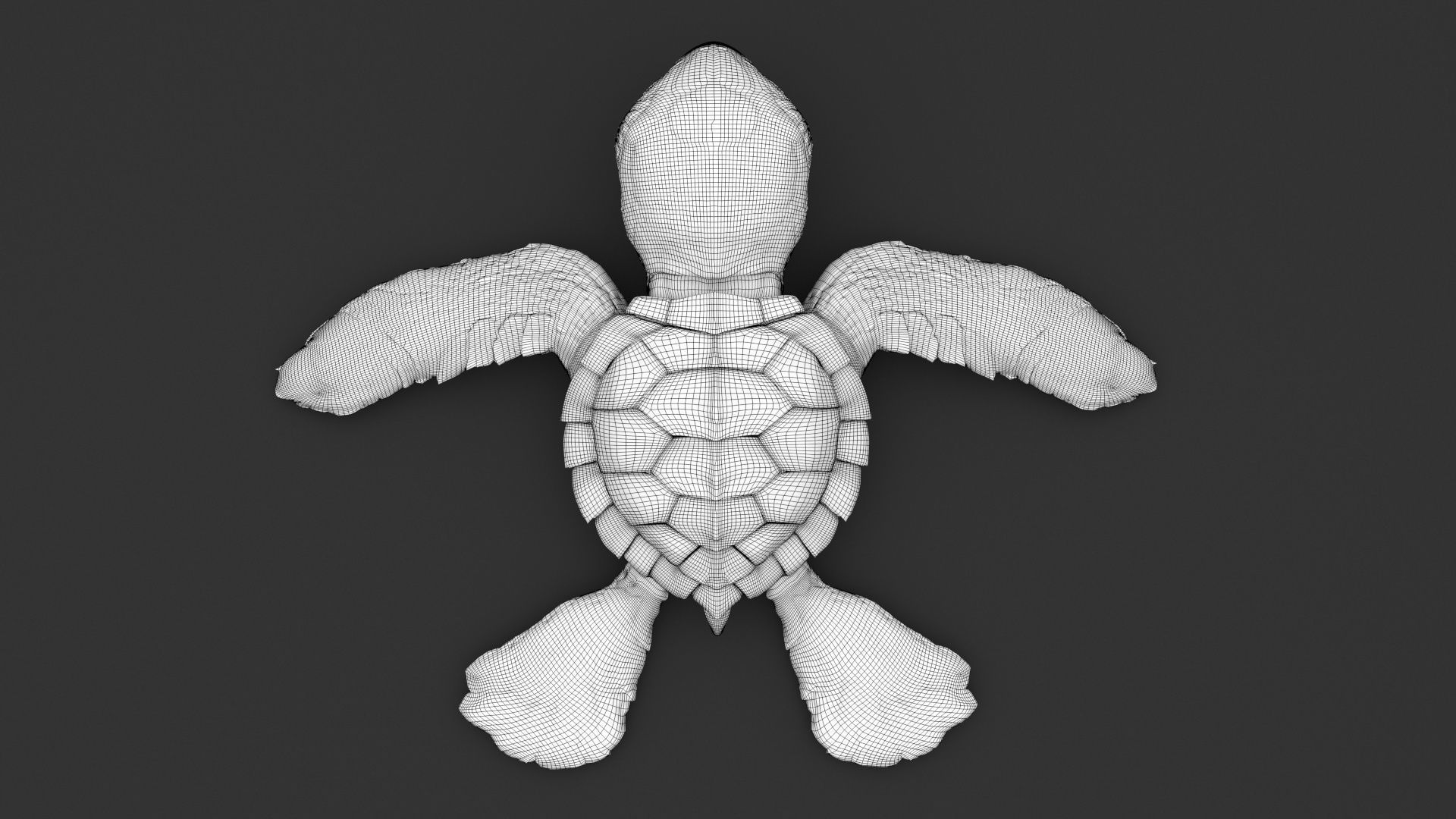Turtle 3D model_23