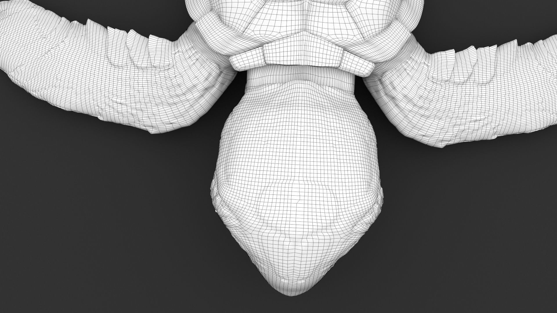 Turtle 3D model_27