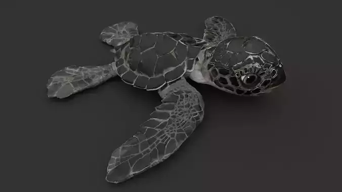 Turtle 3D model