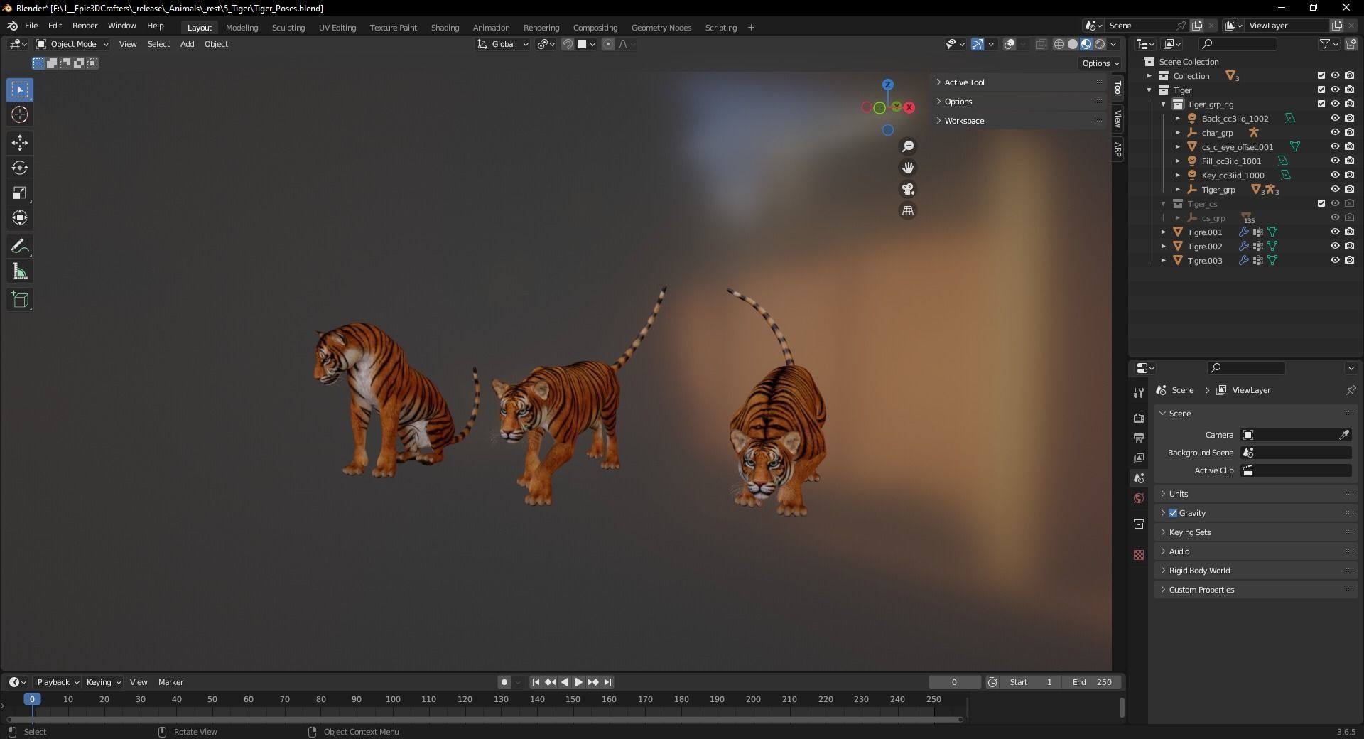 Tiger s Majesty Regal 3D Tiger Low-poly 3D model_9