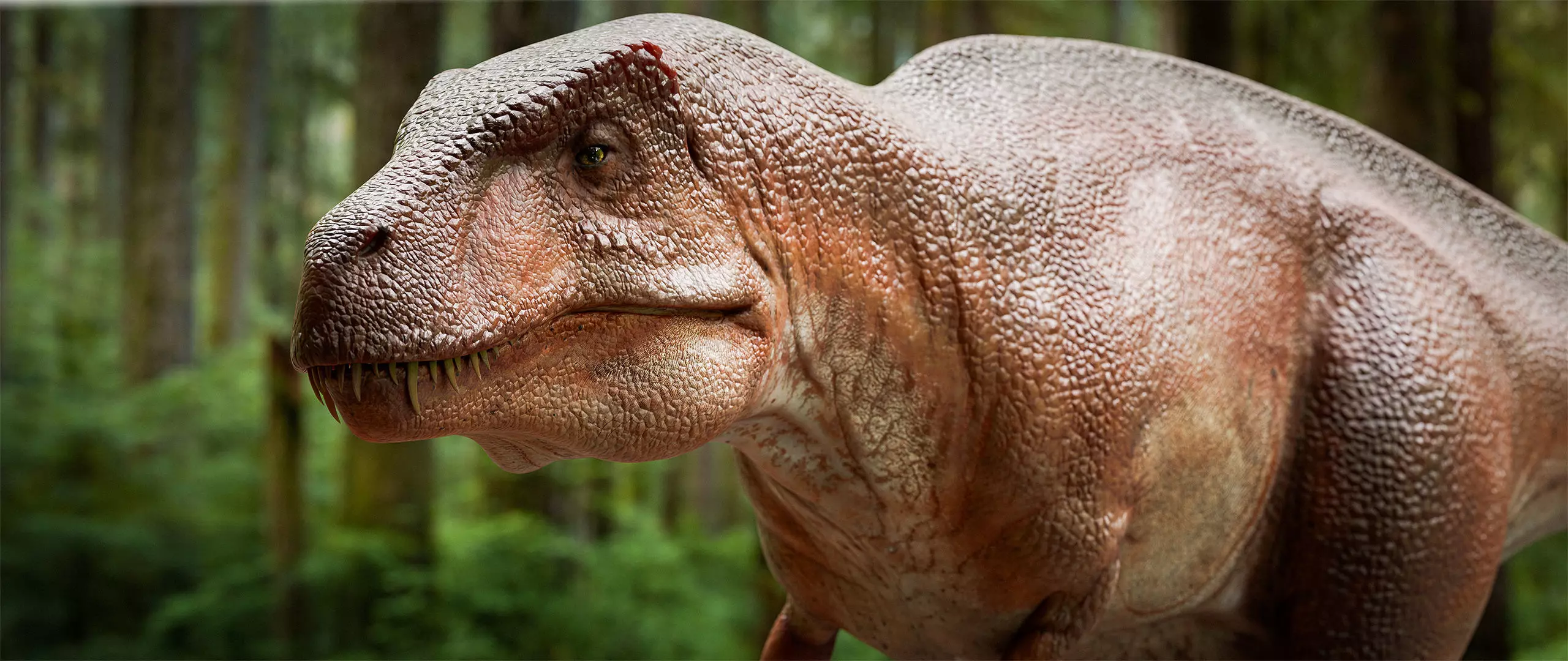 Acrocanthosaurus Low-poly 3D model_0