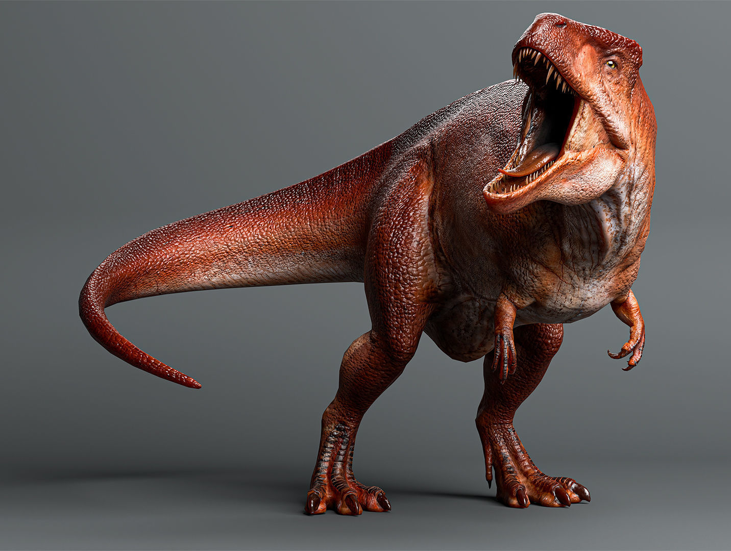 Acrocanthosaurus Low-poly 3D model_1