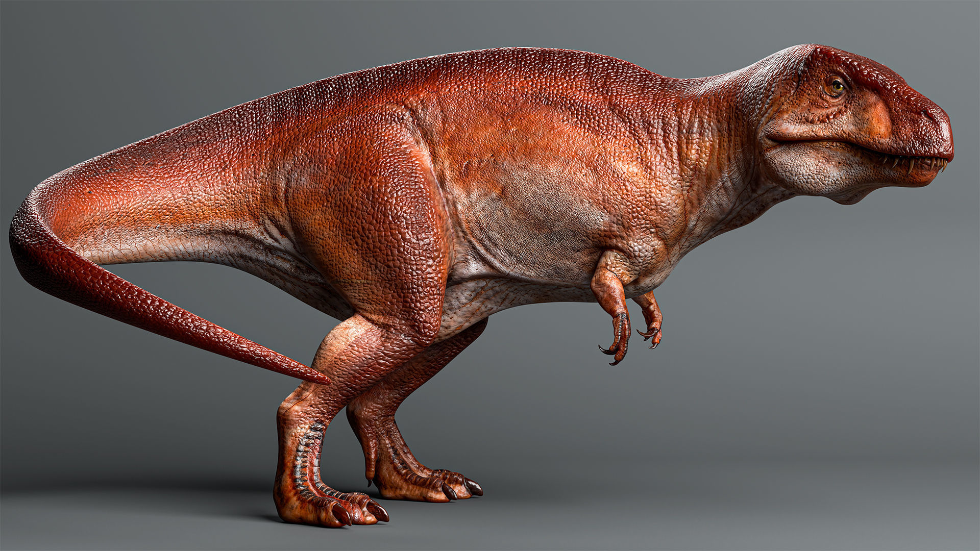 Acrocanthosaurus Low-poly 3D model_2