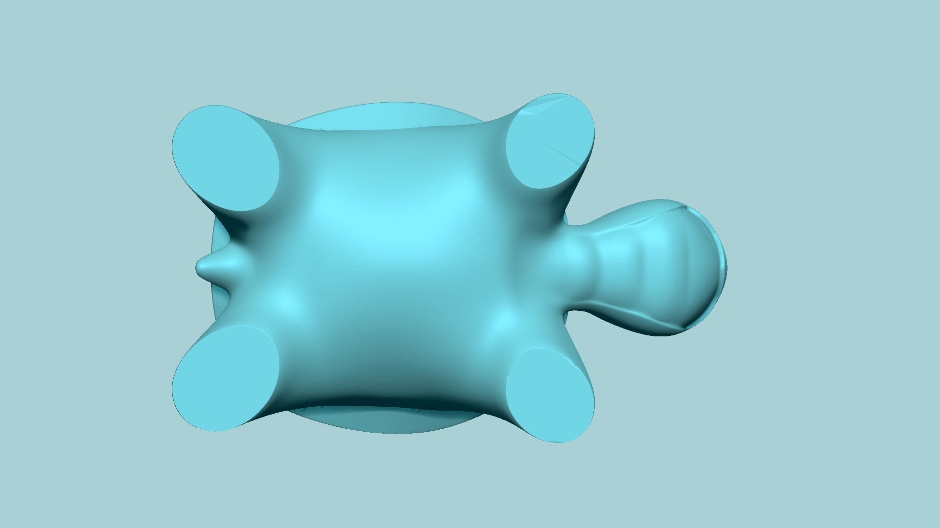 Garden Turtle Key Hide STL - Secret Yard Decor 3D print model_22