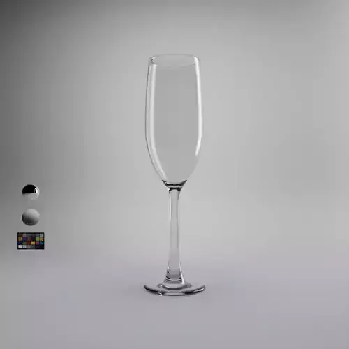 Champagne Flute Photorealistic 3D model