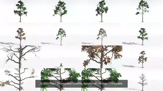 EVERYPlant Glossopteris LowPoly Bundle --80 Models-- 3D Model Collection