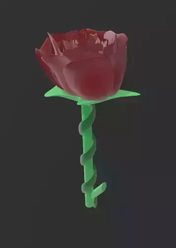 rose flower 