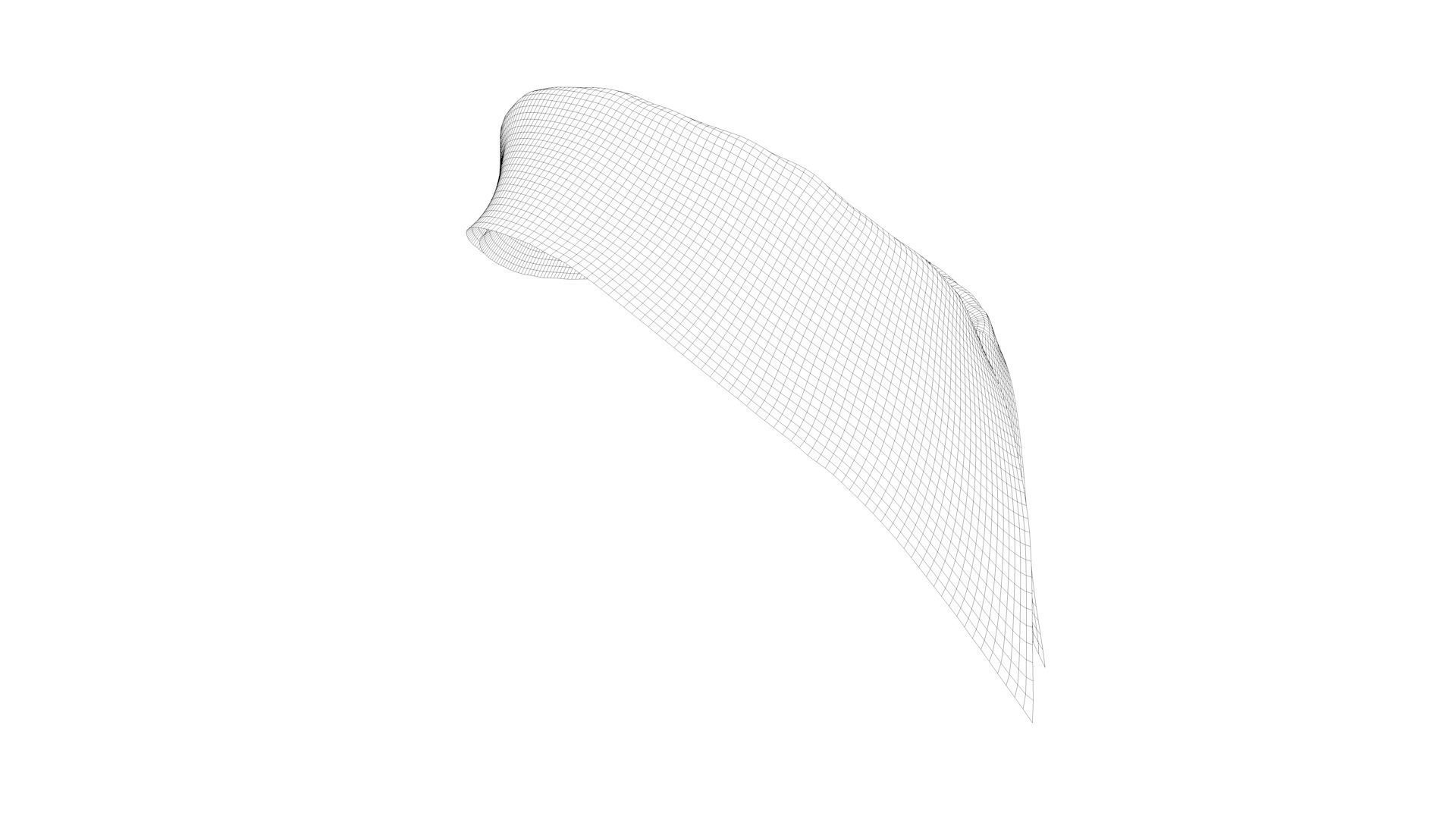 Dress collars scarves and necklaces decorated 3d models 3D model_1