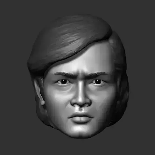 Hayato Ichimonji Kamen Rider 2  Headsculpt for 3D print  3D print model