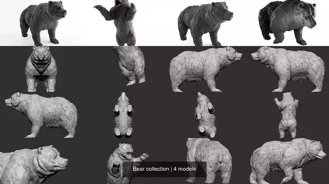 Bear collection