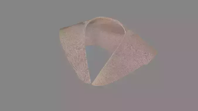 Dress collars scarves and necklaces decorated 3d models