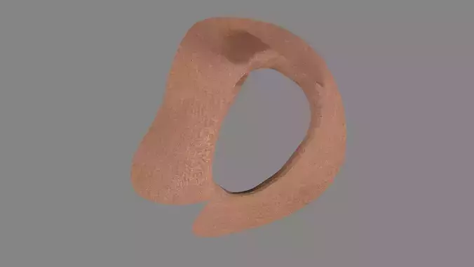 Dress collars scarves and necklaces decorated 3d models