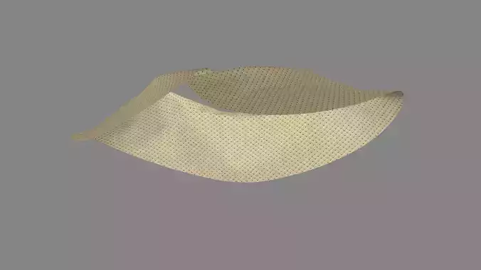 Dress collars scarves and necklaces decorated 3d models