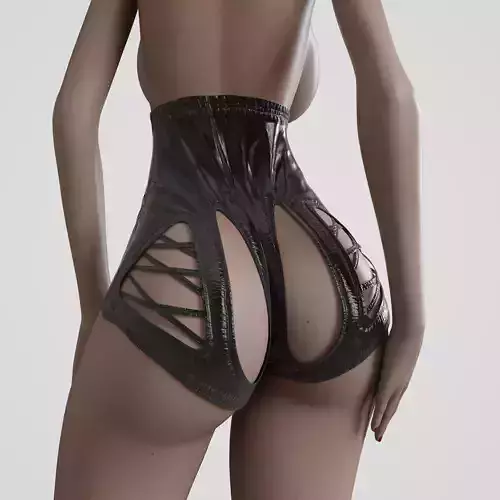 Sexy Shorts for Sora 3D Model 