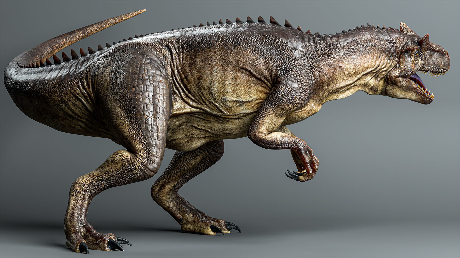 ALLOSAURUS Low-poly 3D model_2