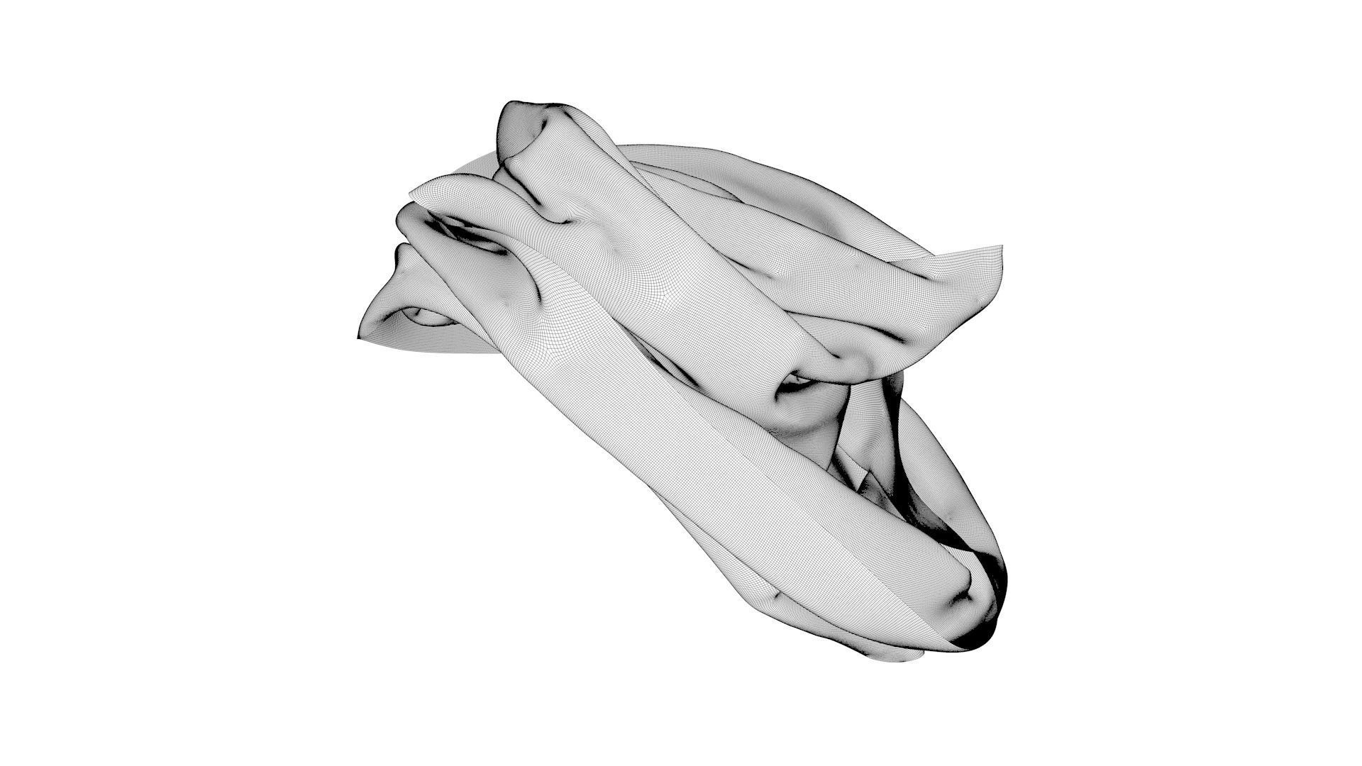 Dress collars scarves and necklaces decorated 3d models 3D model_1