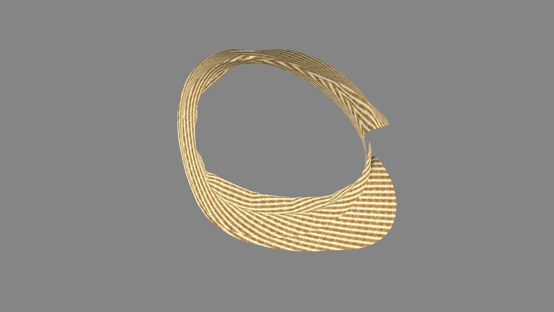 Dress collars scarves and necklaces decorated 3d models 3D model_6