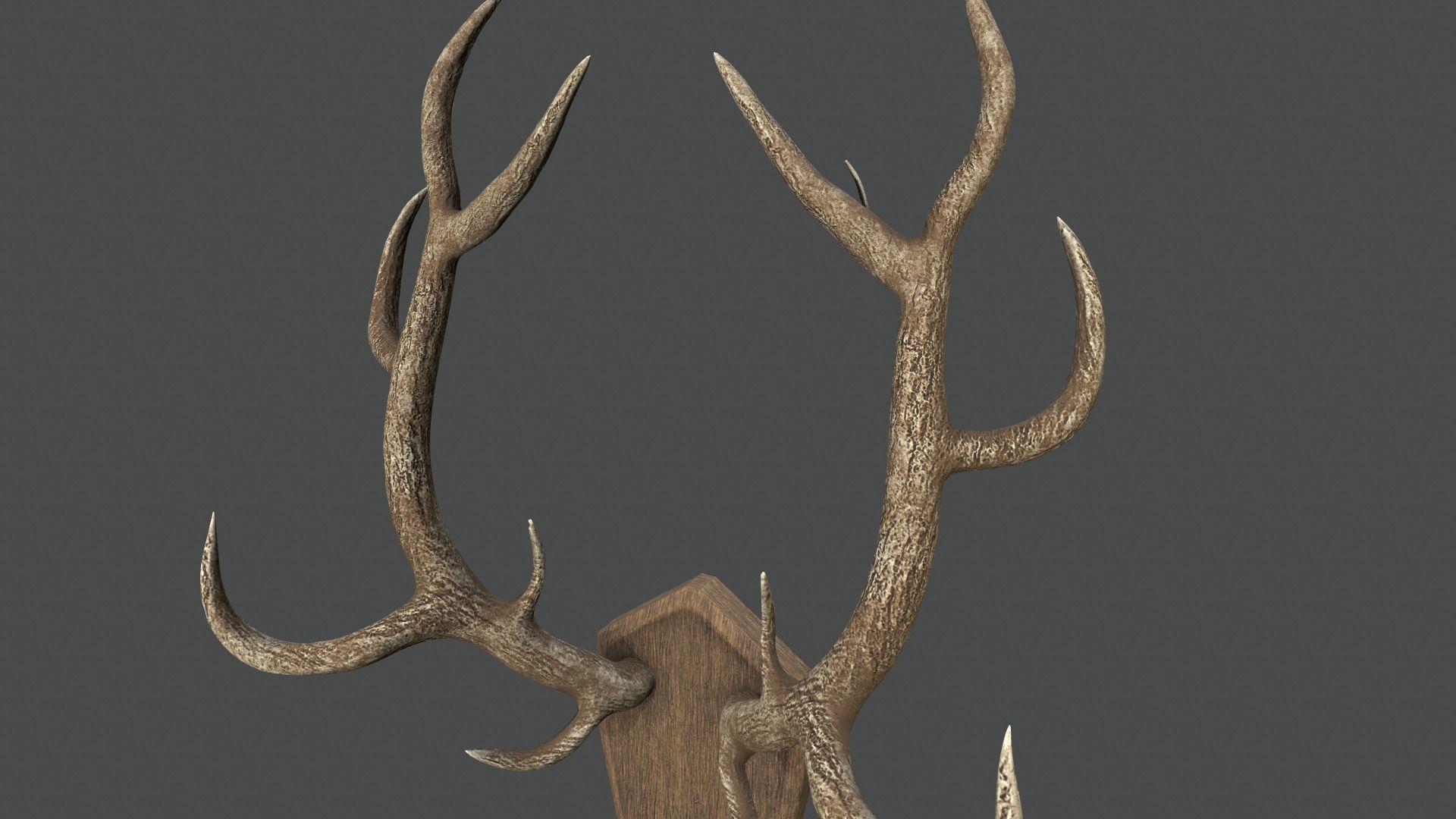 Deer Antlers Low-poly 3D model_8