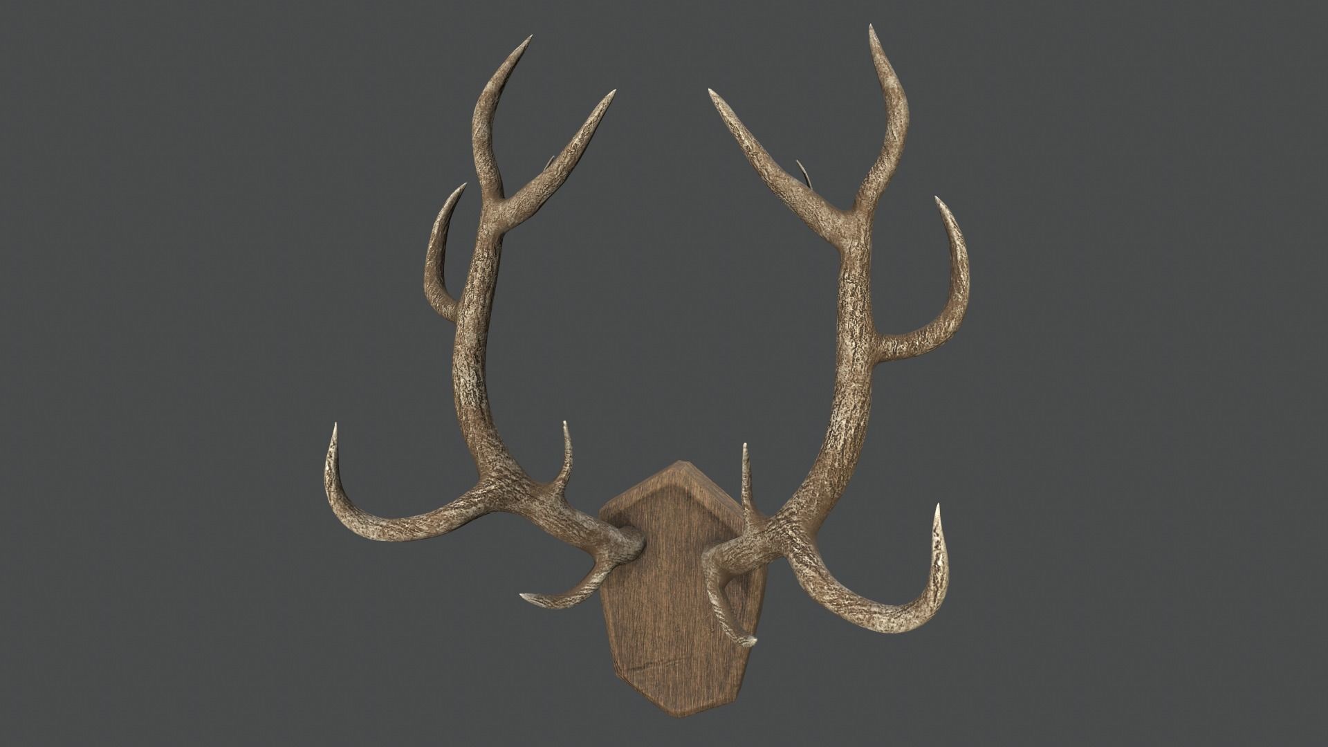 Deer Antlers Low-poly 3D model_3
