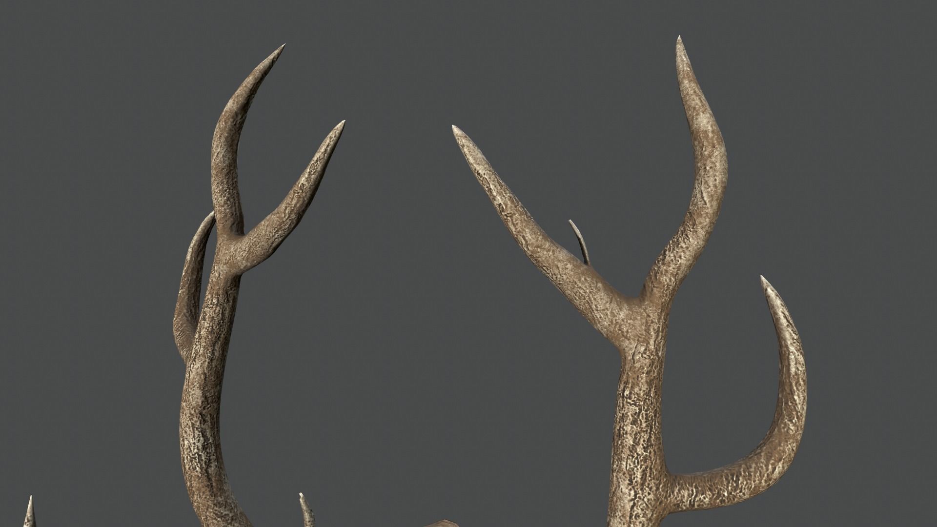 Deer Antlers Low-poly 3D model_10