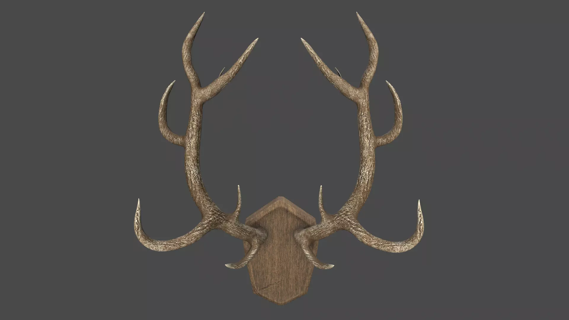 Deer Antlers Low-poly 3D model_0