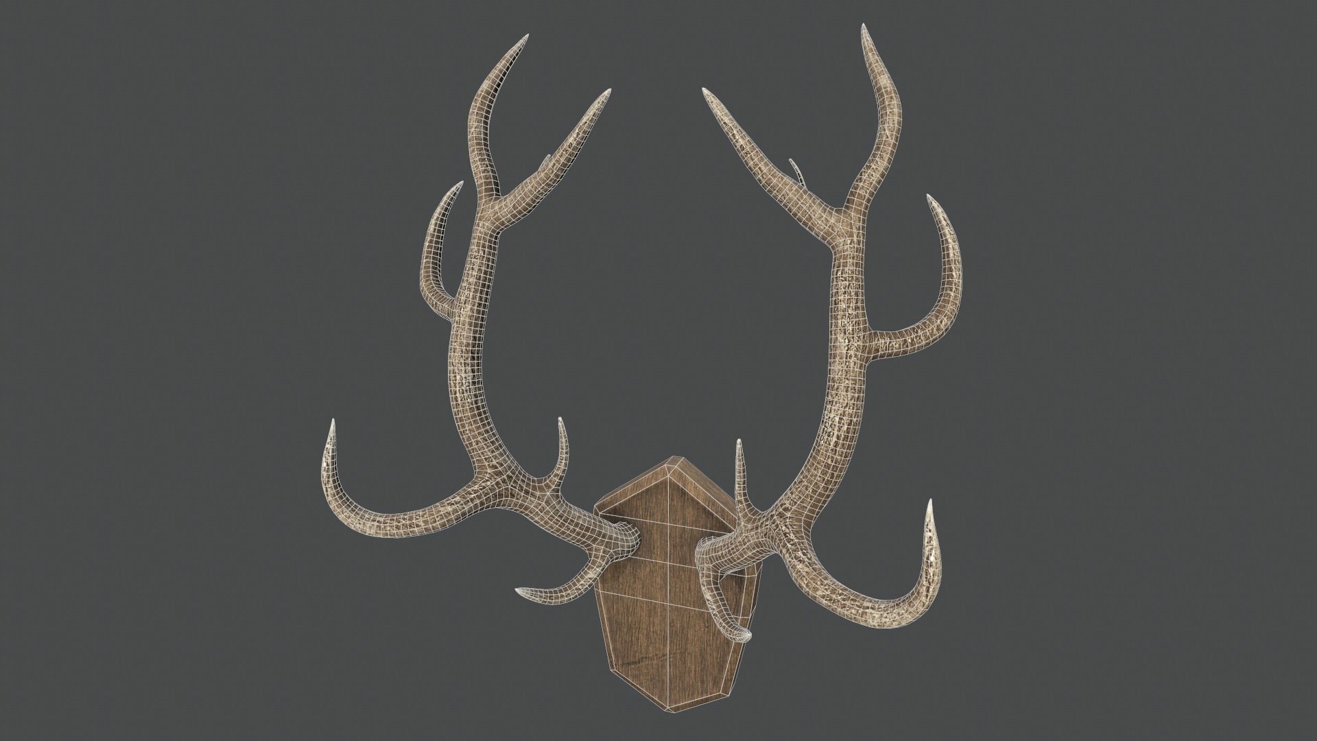 Deer Antlers Low-poly 3D model_4